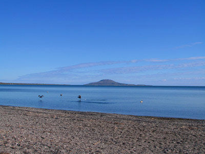 Desert Inn Loreto Лорето Екстер'єр фото